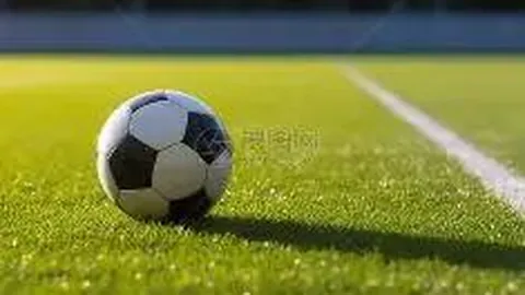 鹏远石材：厂家直销黄金麻石材及地铺石