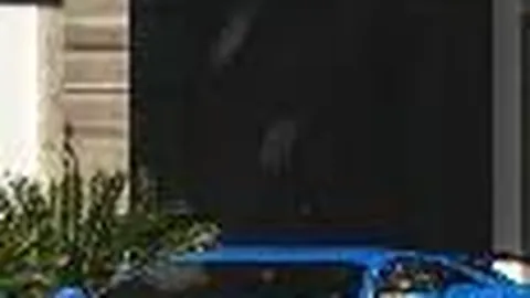 早新闻青年报 ｜ 警惕！你所购陈皮可能为“假皮”，最新信息揭晓→