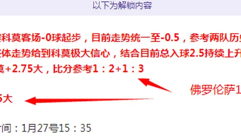 英超争四边缘球队遭忽视，纽卡斯尔异军突起