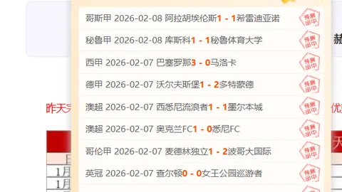 南非橄榄球世界杯夺冠，12月15日升格为全国法定假日——环球时报报道