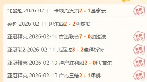 2024-25赛季切尔西欧战期号专家质合分析推荐前区十码