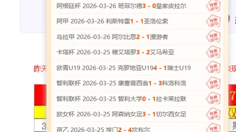 “2025赛季足协杯赛程公布”